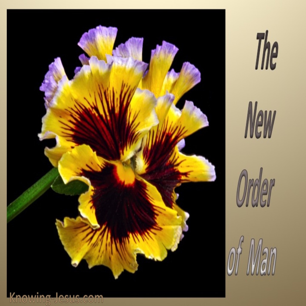 New Order Of Man (devotional)09-28 (black)